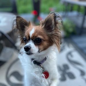 Meet your Posher, Heather